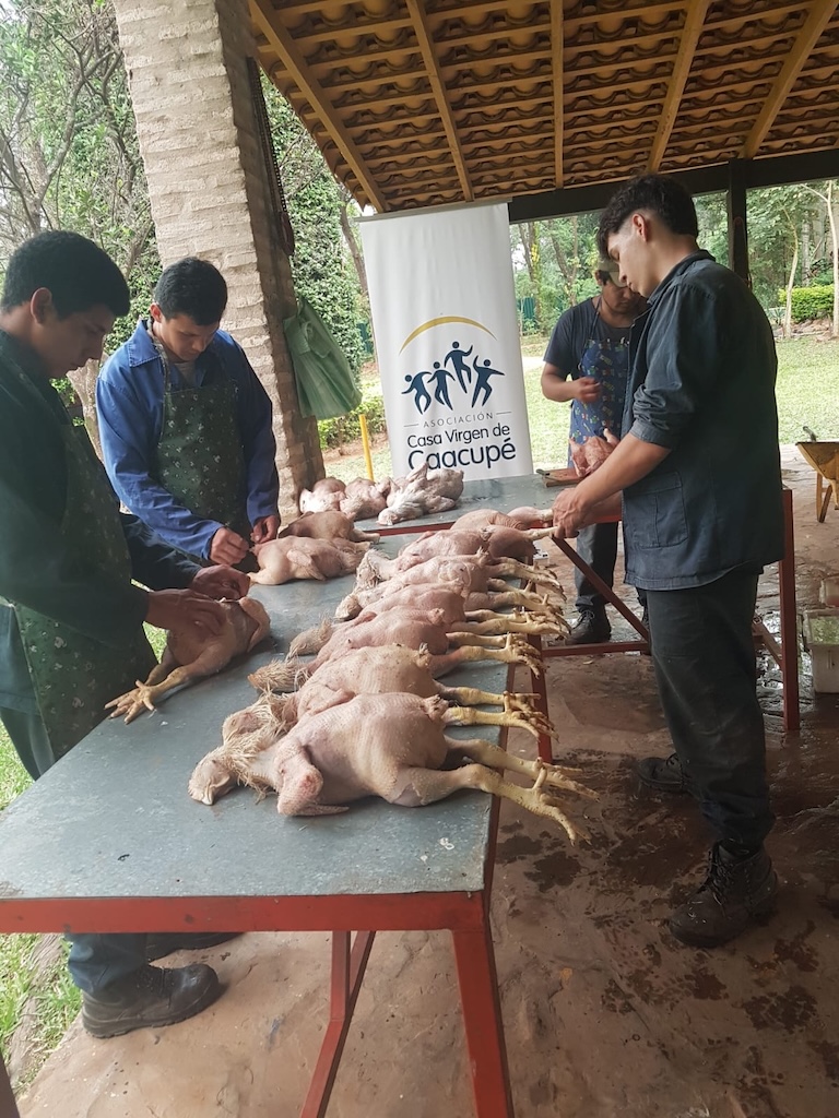 Imagen de galería 16